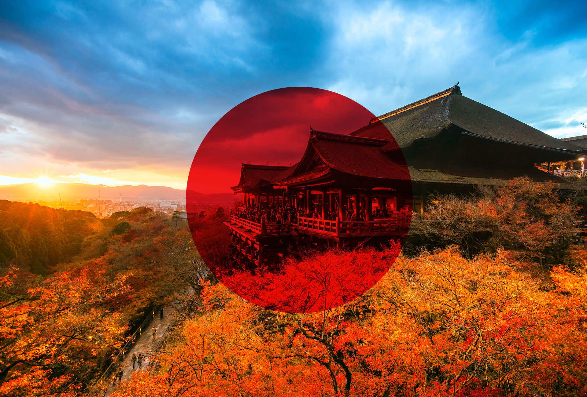 Go Tokyo